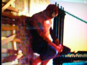 peters-web spider-man fan film