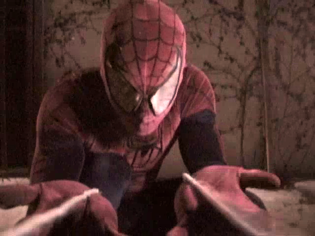 peter's web spider-man
